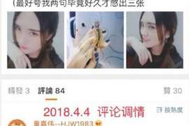 泰宁婚外情调查取证：涉外离婚案件中需提交的材料